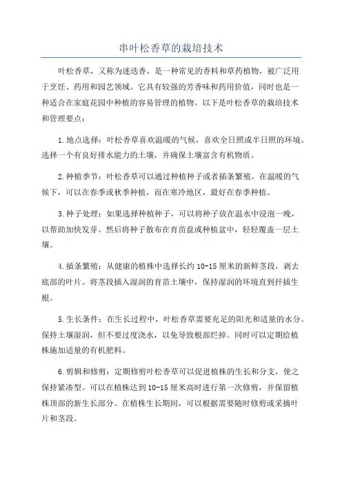 串叶松香草的栽培技术
