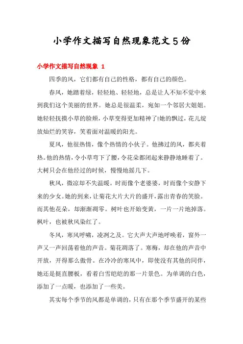 小学作文描写自然现象范文5份