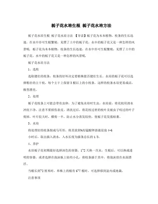 栀子花水培生根栀子花水培方法