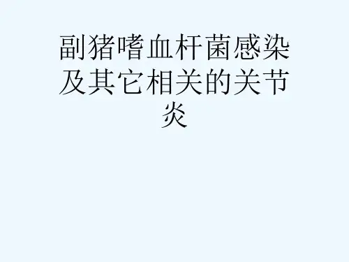 副猪嗜血杆菌感染及其它相关的关节炎[可修改版ppt]