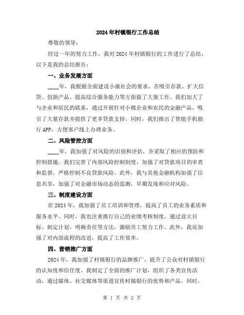 2024年村镇银行工作总结