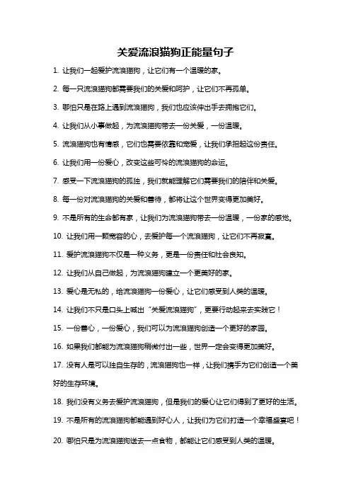 关爱流浪猫狗正能量句子