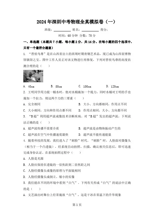 2024年广东省深圳市中考物理全真模拟卷(一)(含答案)