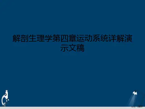 解剖生理学第四章运动系统详解演示文稿