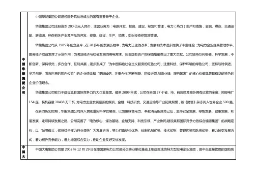 五大电力公司简介