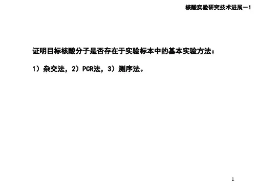 核酸研究进展生物化学与分子生物学课件