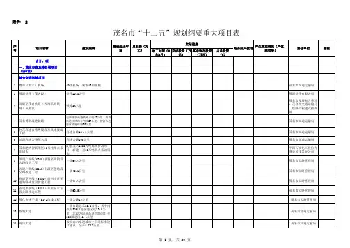 《规划纲要》重大项目完成情况分析表03