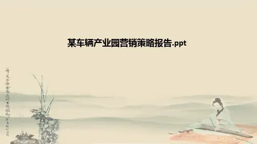 某车辆产业园营销策略报告
