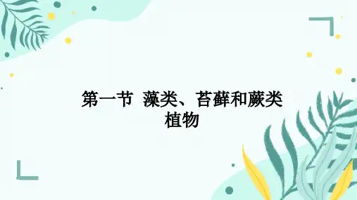 藻类、苔藓和蕨类植物ppt课件