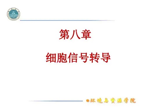 第八章-细胞信号转导