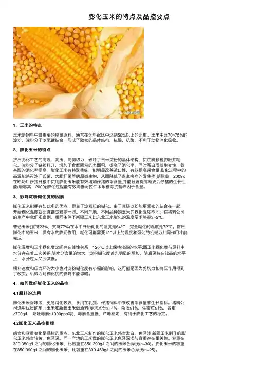 膨化玉米的特点及品控要点