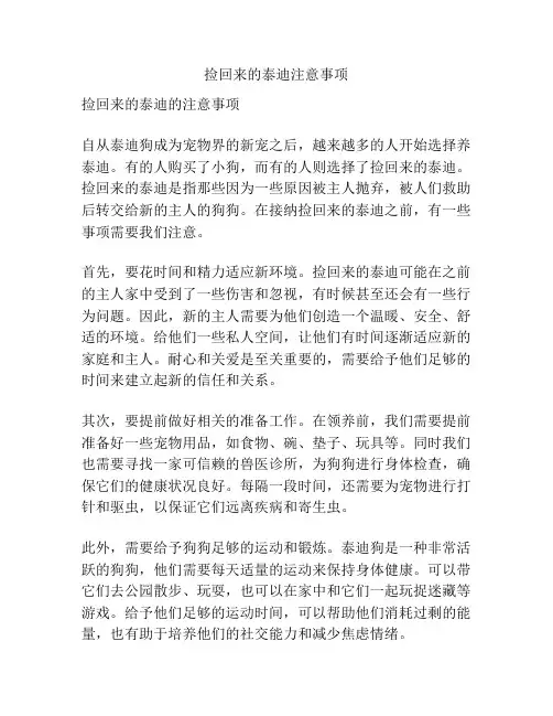 捡回来的泰迪注意事项