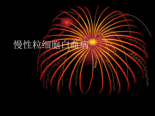 慢性粒细胞白血病PPT幻灯片