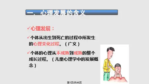 心理发展理论PPT课件