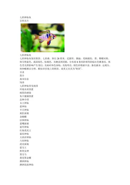 七彩神仙鱼
