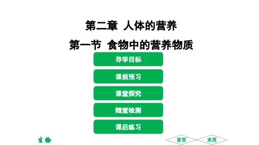 人教版七年级生物下册第二章教学课件全套
