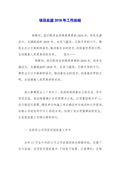 项目总监2018年工作总结