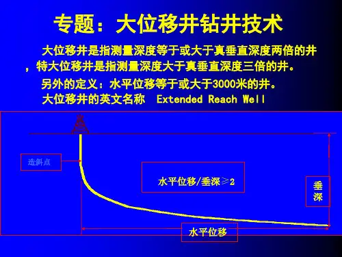 1.3.1大位移井