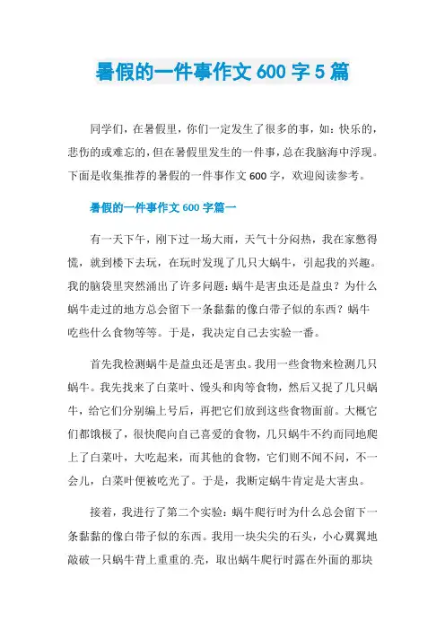 暑假的一件事作文600字5篇