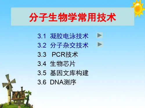 分子生物学常用的各种技术项目举例