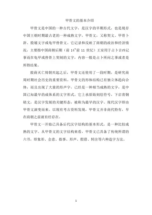 甲骨文的基本介绍