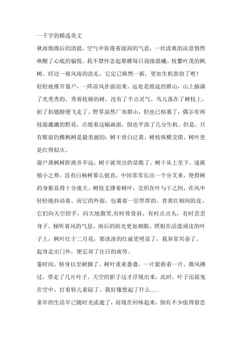 一千字的精选美文