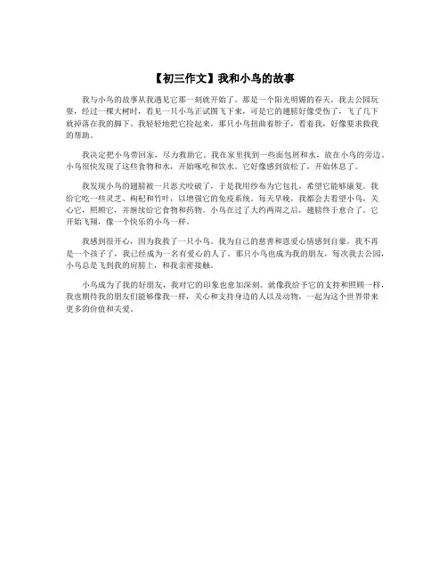 【初三作文】我和小鸟的故事