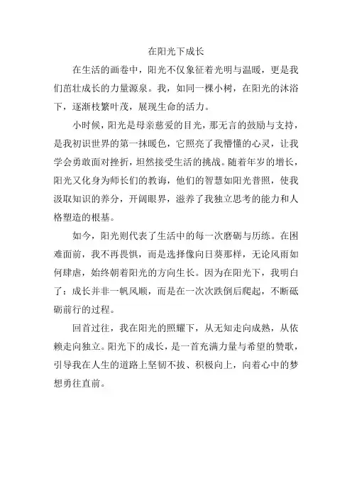在阳光下成长