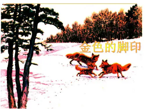 六年级上册语文课件24、《金色的脚印》 ｜人教新课标 (共13张PPT)