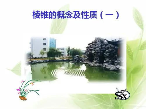 棱锥的概念和性质PPT教学课件(1)