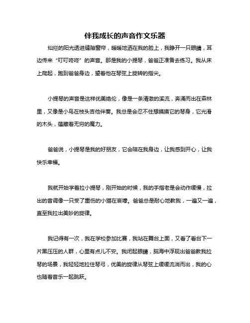 伴我成长的声音作文乐器