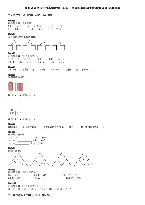 湖北省宜昌市2024小学数学一年级上学期统编版期末检测(摸底卷)完整试卷