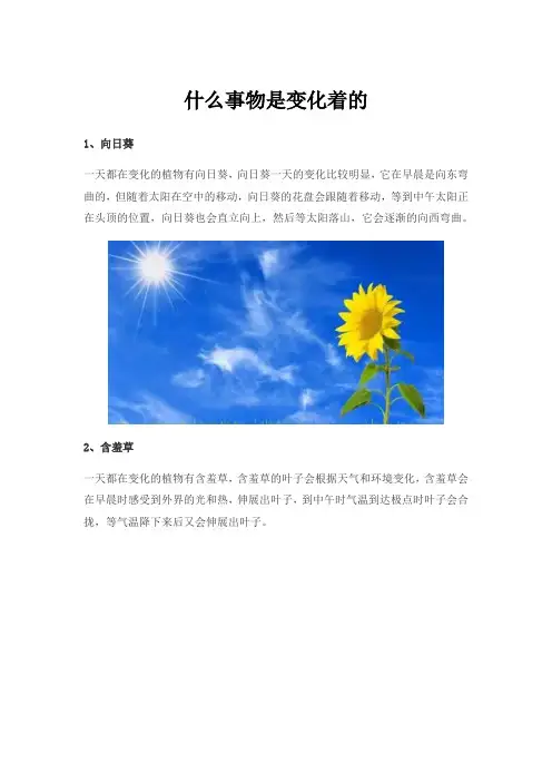 什么事物是变化着的
