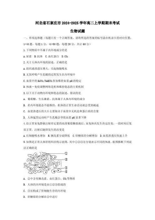 河北省石家庄市2024-2025学年高二上学期期末考试生物试题-Word版含答案