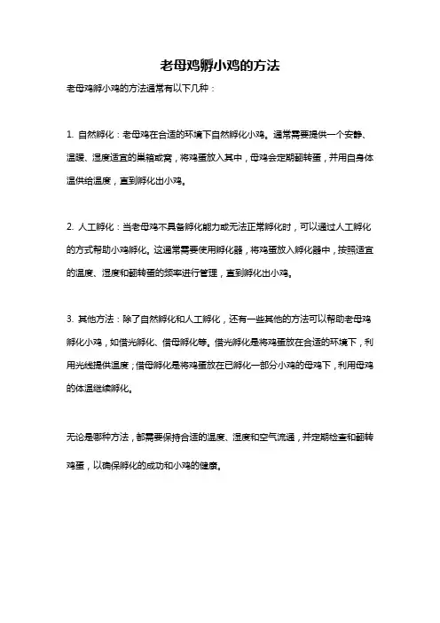 老母鸡孵小鸡的方法