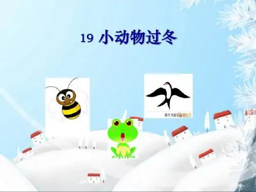 《小动物过冬》ppt实用课件6