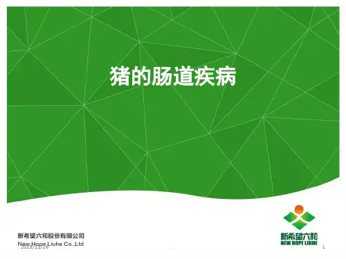 猪的肠道疾病PPT课件