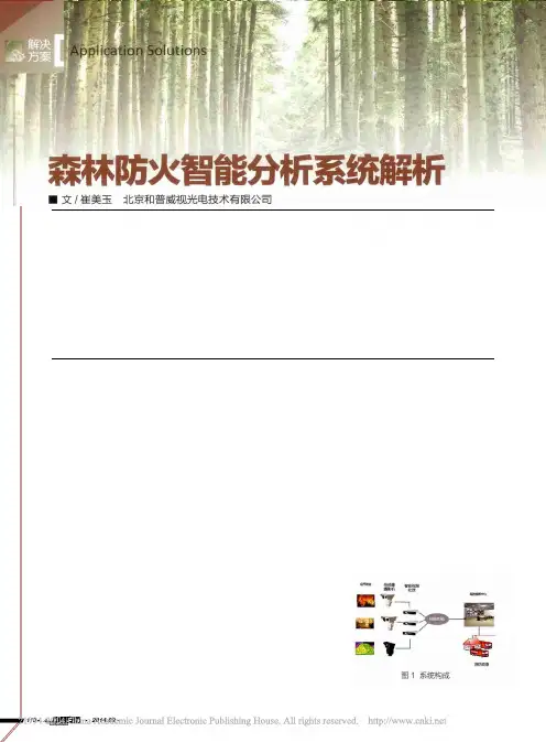森林防火智能分析系统解析_崔美玉