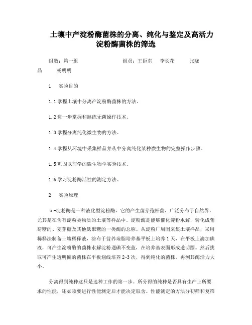 土壤中产淀粉酶菌株的分离与鉴定及高活力淀粉酶的筛选
