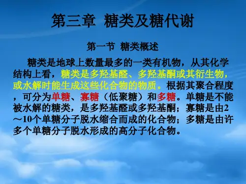 第三章糖类及糖代谢