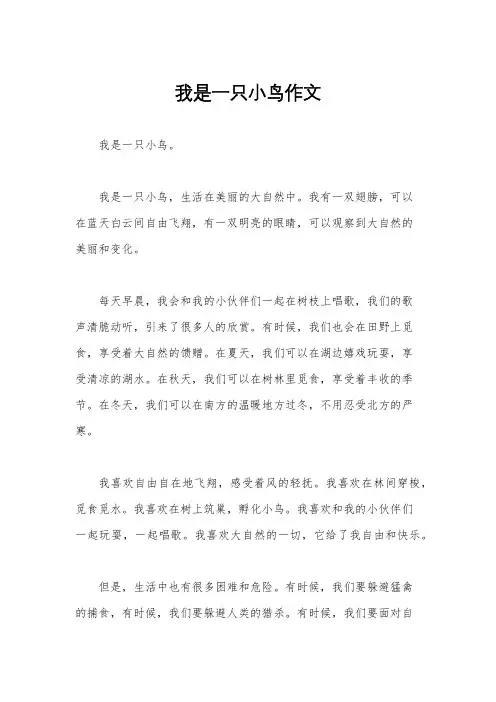 我是一只小鸟作文