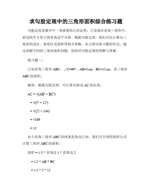 求勾股定理中的三角形面积综合练习题