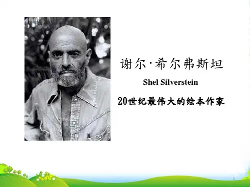 失落的一角遇见大圆满(经典推荐)-课件