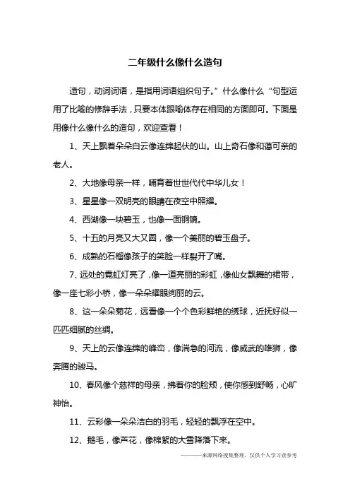 二年级什么像什么造句