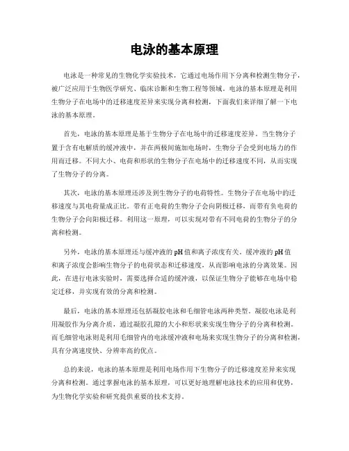 电泳的基本原理