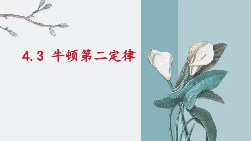 物理人教版(2019)必修第一册4.3牛顿第二定律(共22张ppt)