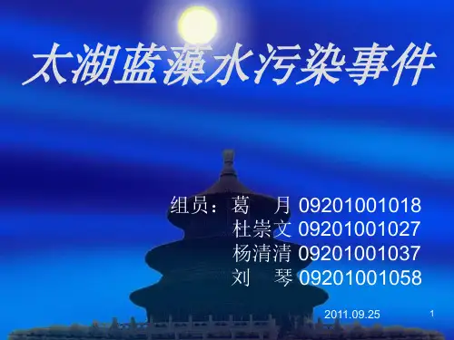 太湖蓝藻水污染事PPT精选文档