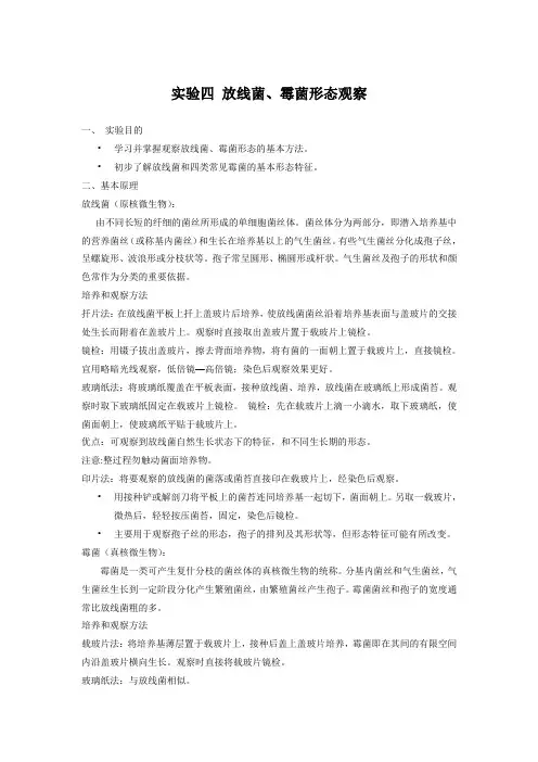 试验四放线菌霉菌形态观察