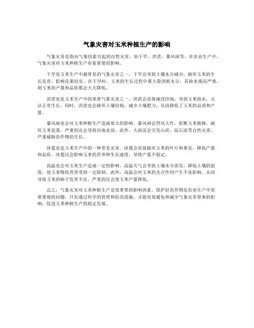 气象灾害对玉米种植生产的影响