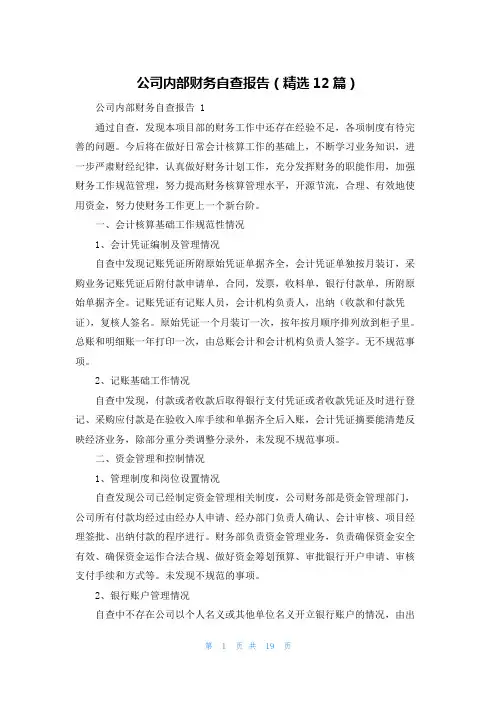 公司内部财务自查报告(精选12篇)